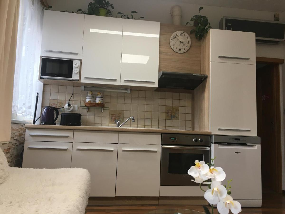 Apartment Hlinská Ceske Budejovice Exterior foto