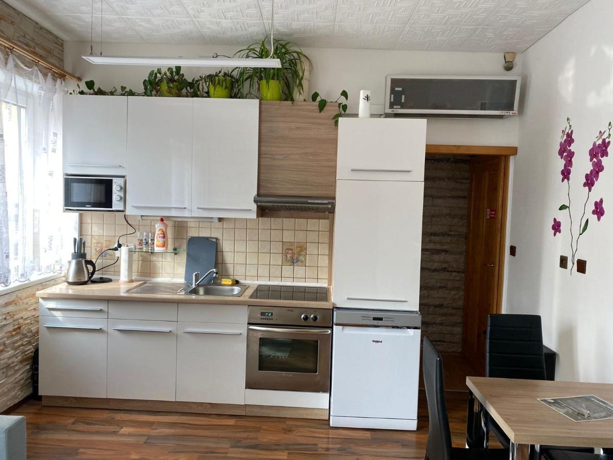 Apartment Hlinská Ceske Budejovice Exterior foto